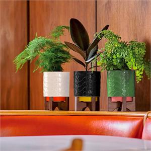 Orla Kiely Debossed Ceramic Plant Pot with Wooden Stand